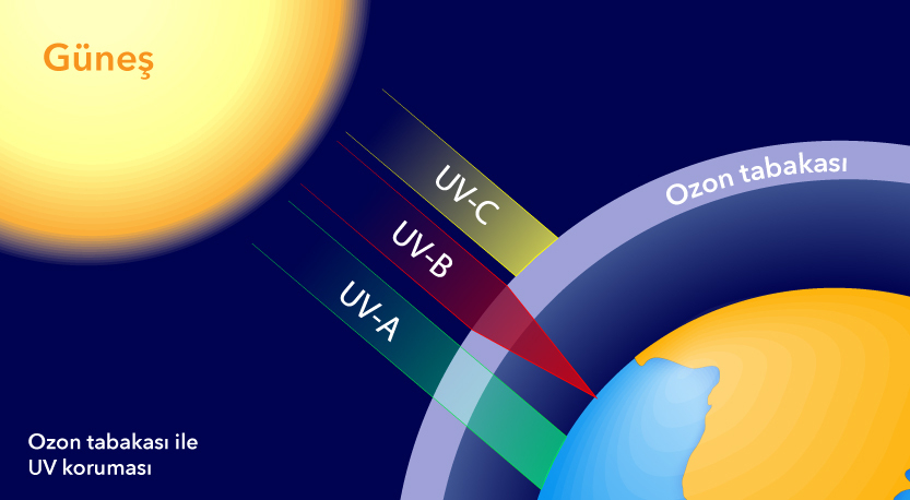 UVA ve UVB Arasındaki Fark Nedir?